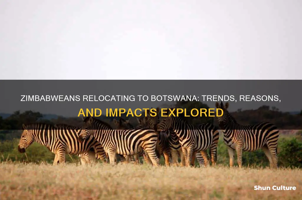 are zimbabeans moving to botswana