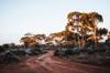 australia