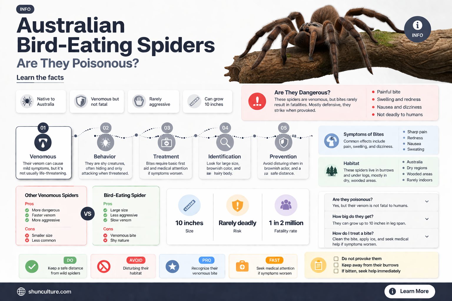 are australian bird eating spiders poisonous