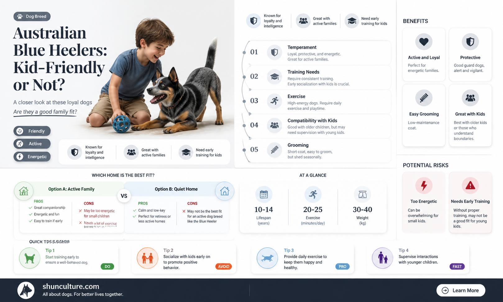 are australian blue heelers good with kids