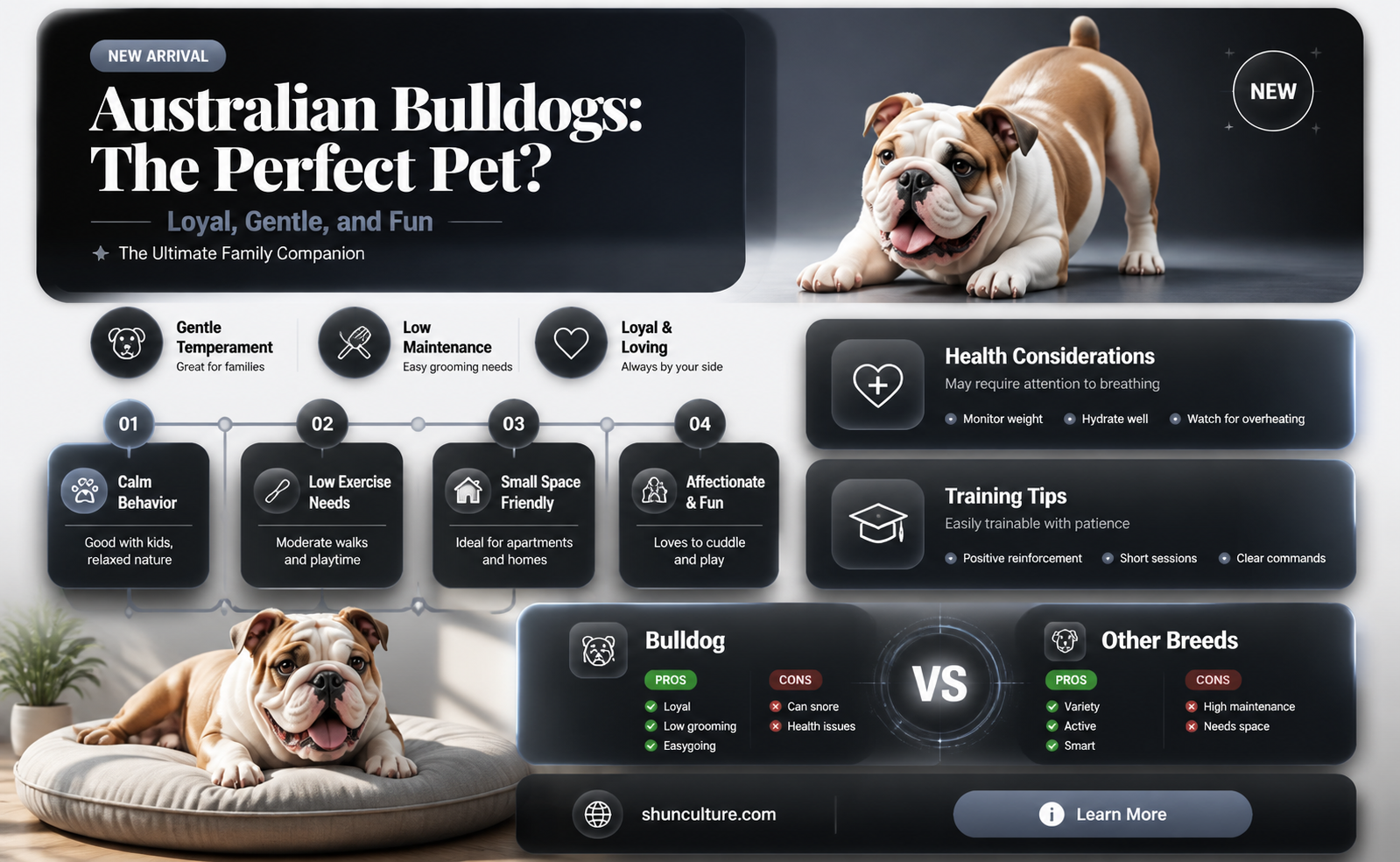 are australian bulldogs good pets