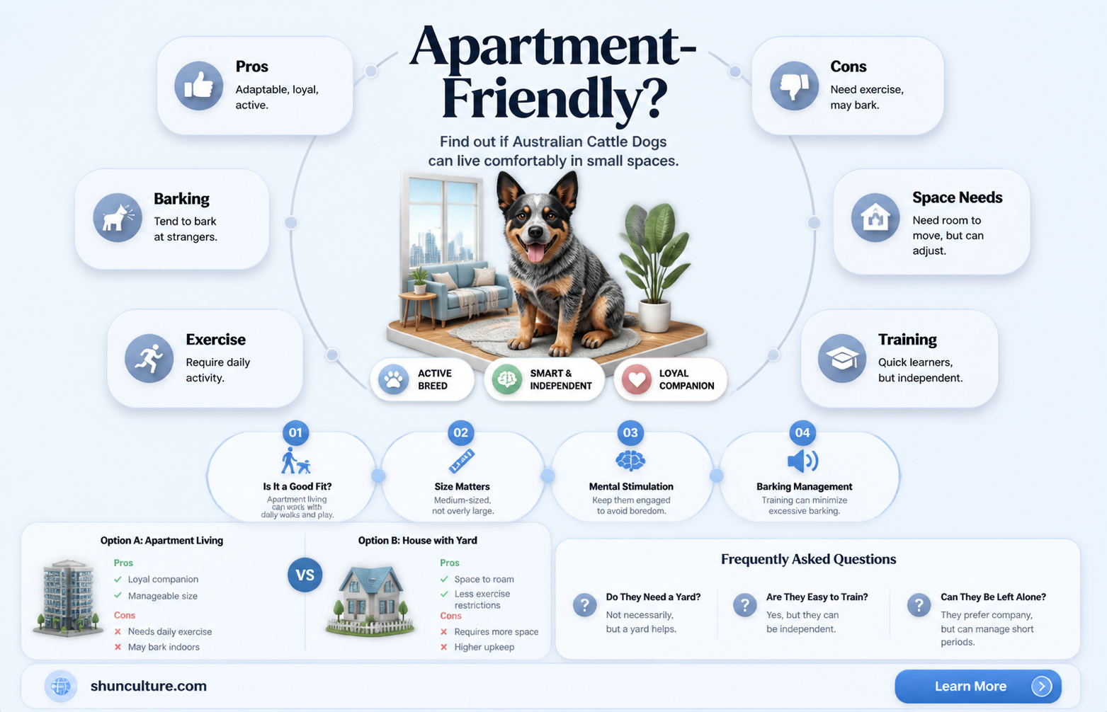 are australian cattle dogs good for apartments