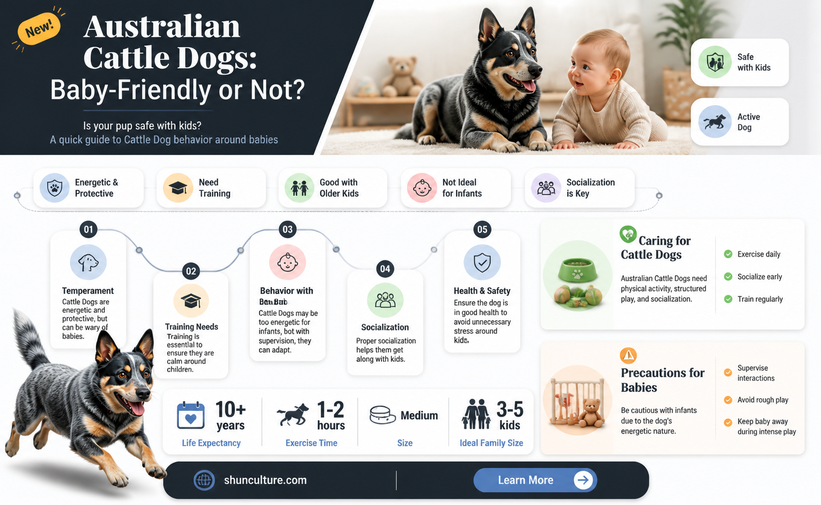 are australian cattle dogs good with babies