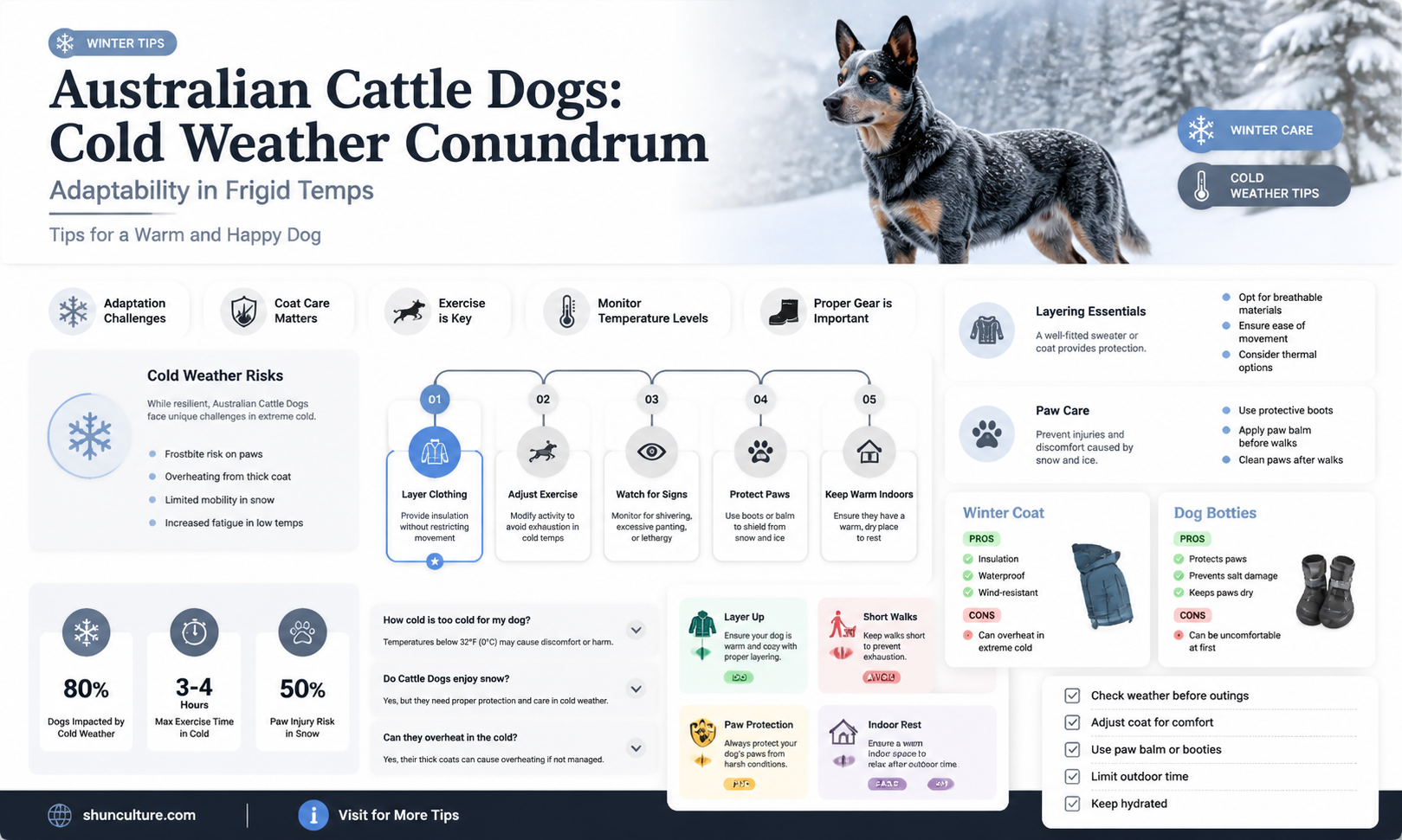 are australian cattle dogs good in the cold