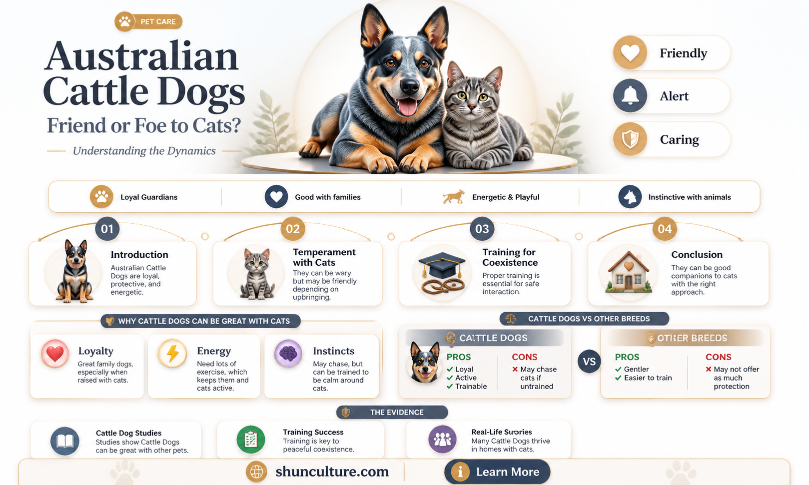 are australian cattle dogs good with cats