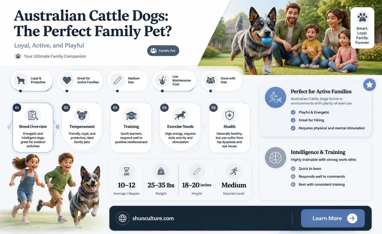 are australian cattle dogs good family dogs
