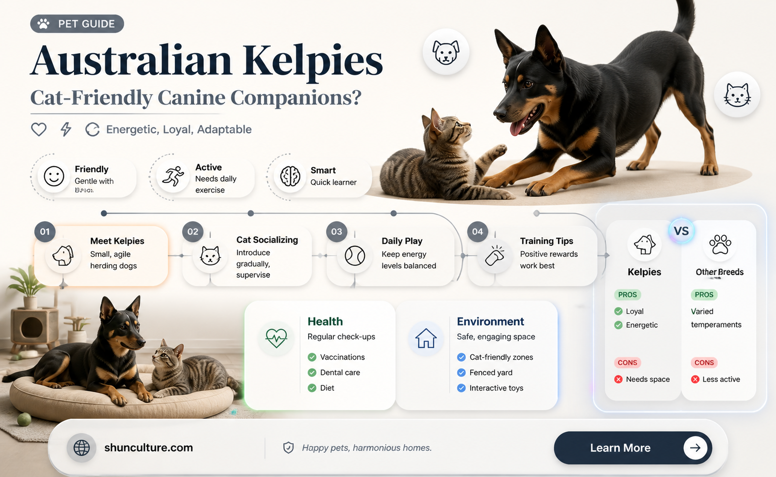 are australian kelpies good with cats