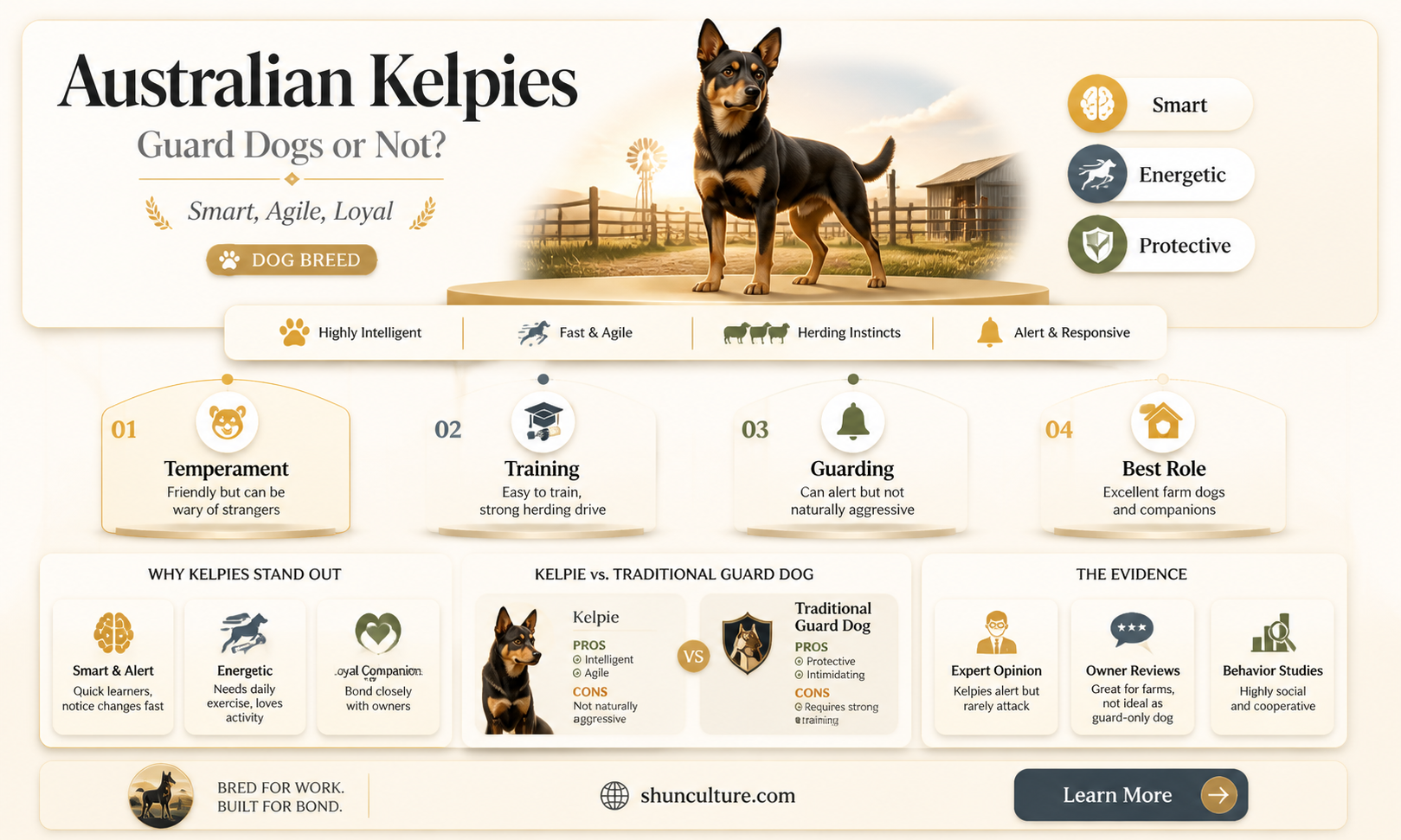 are australian kelpies good guard dogs