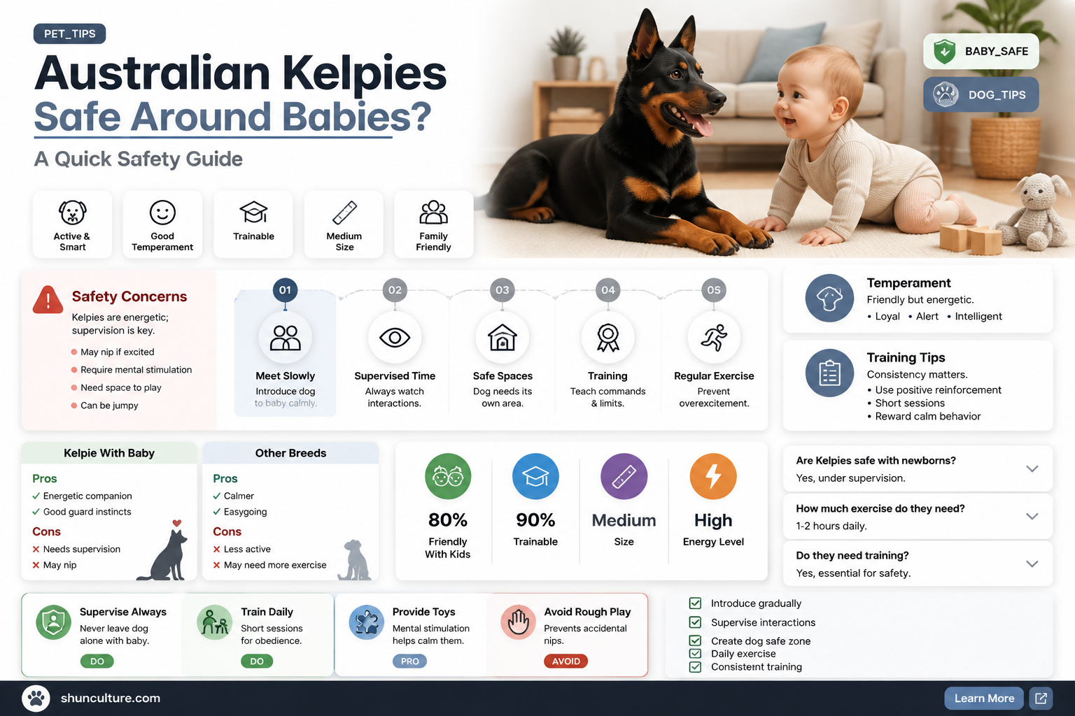 are australian kelpie good around babies