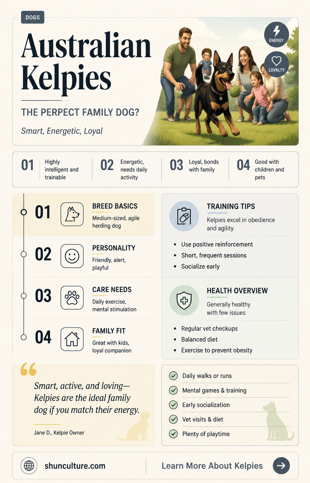 are australian kelpies good family dogs