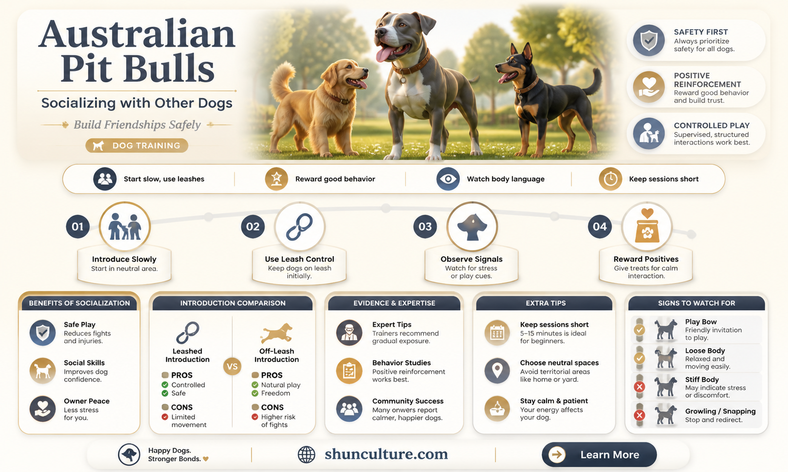 are australian pit bull good with other dogs
