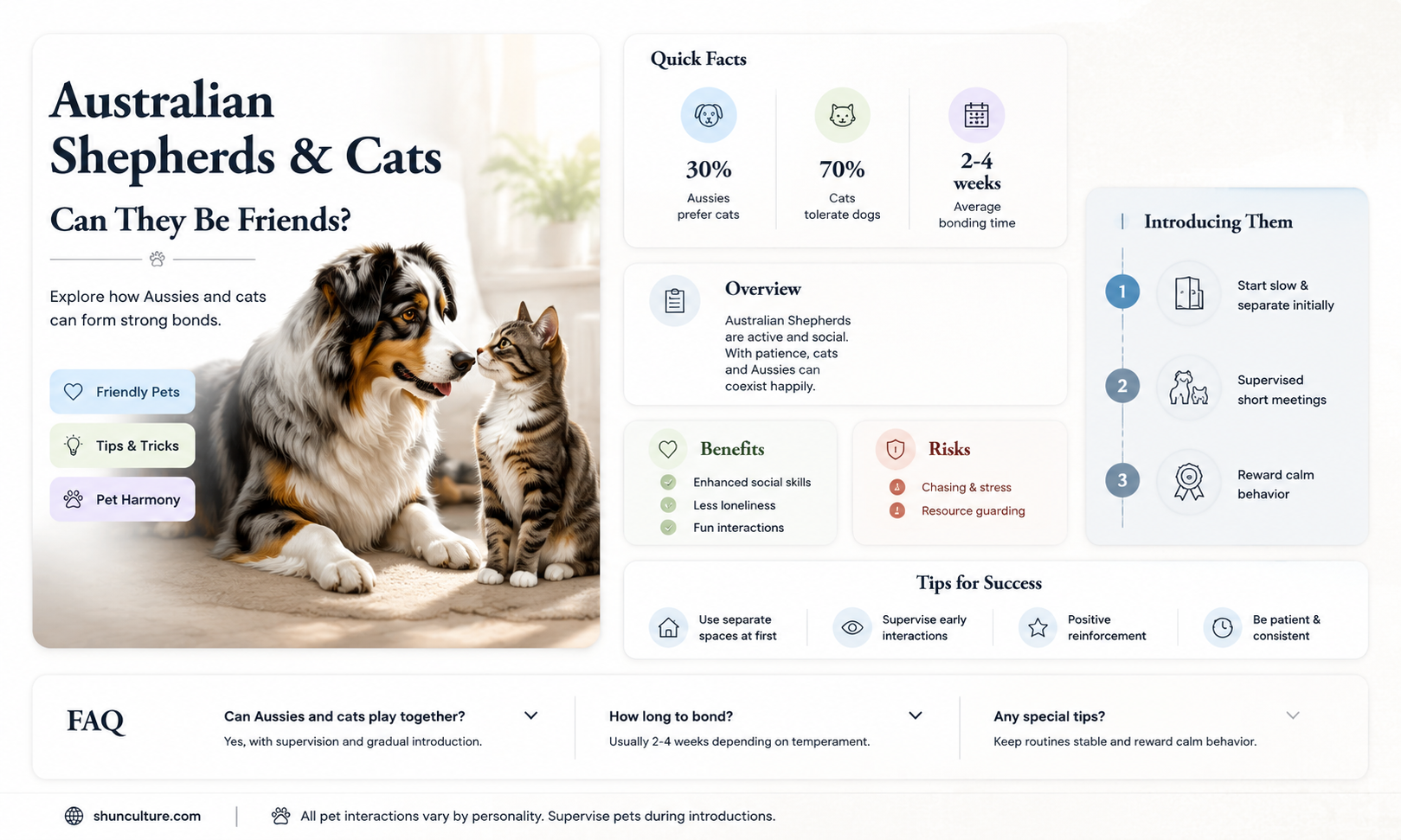 are australian shepards good with cats