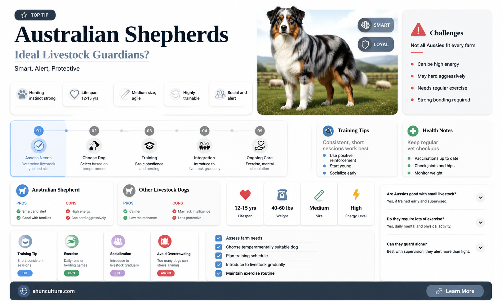 are australian shephers good with livestock