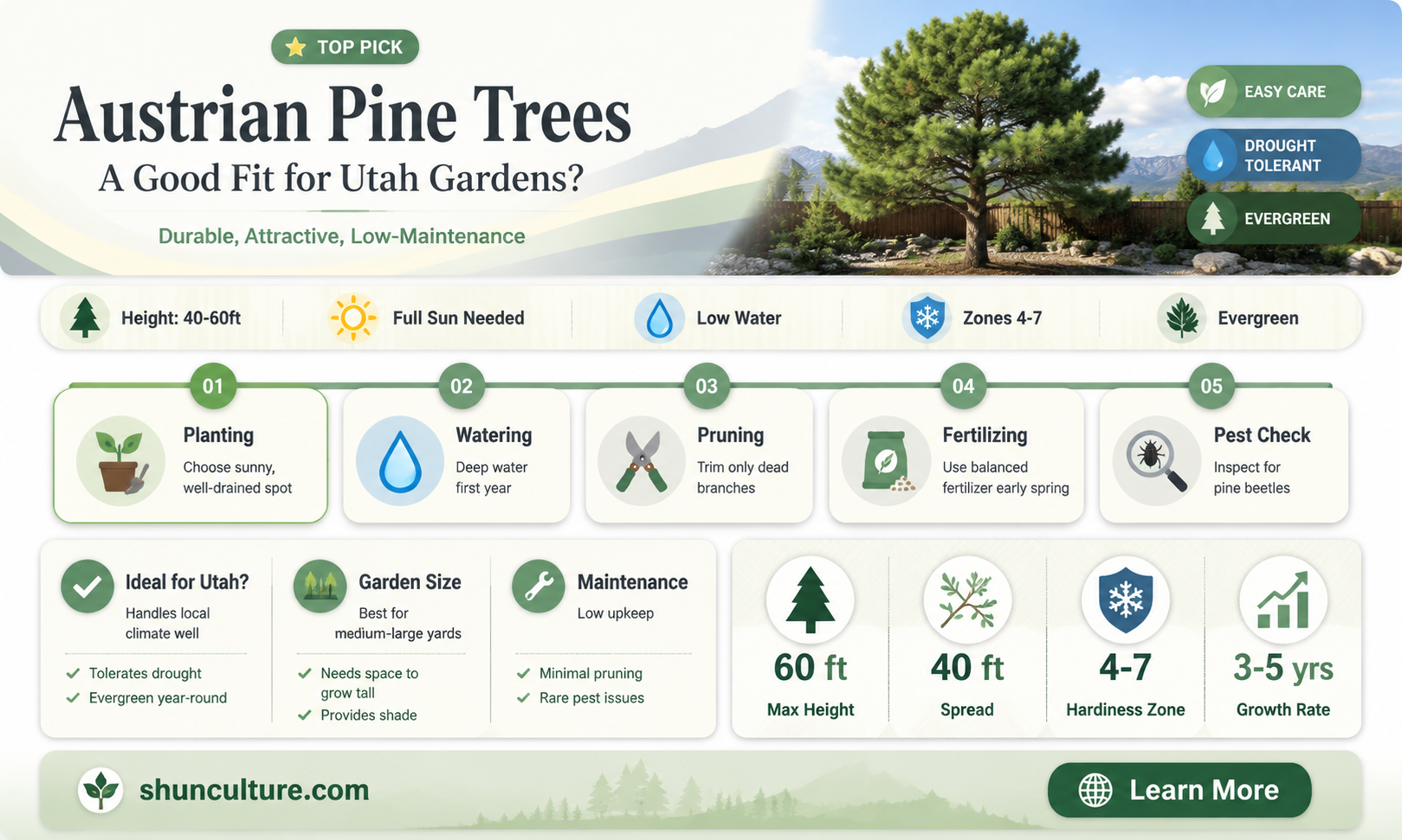 are austrian pine trees ok for utah