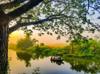 bangladesh