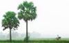 bangladesh