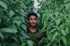 bangladesh