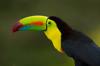belize