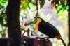 belize