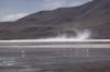 bolivia