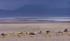 bolivia