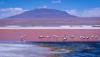 bolivia