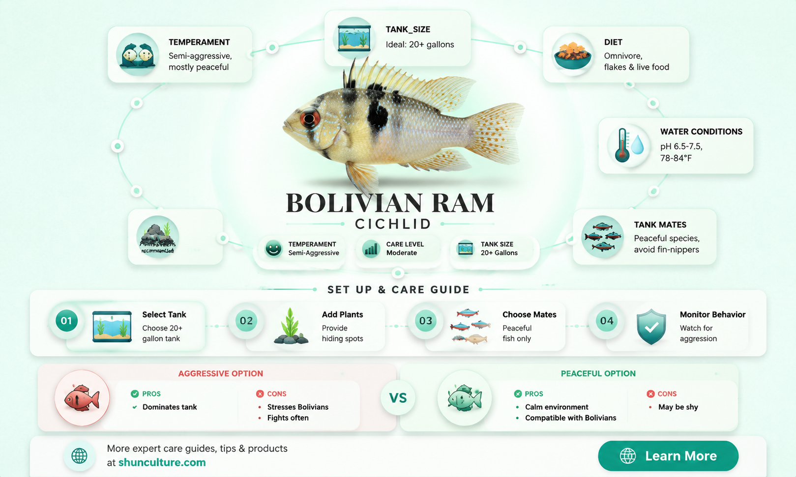are bolivian ram cichlids aggressive