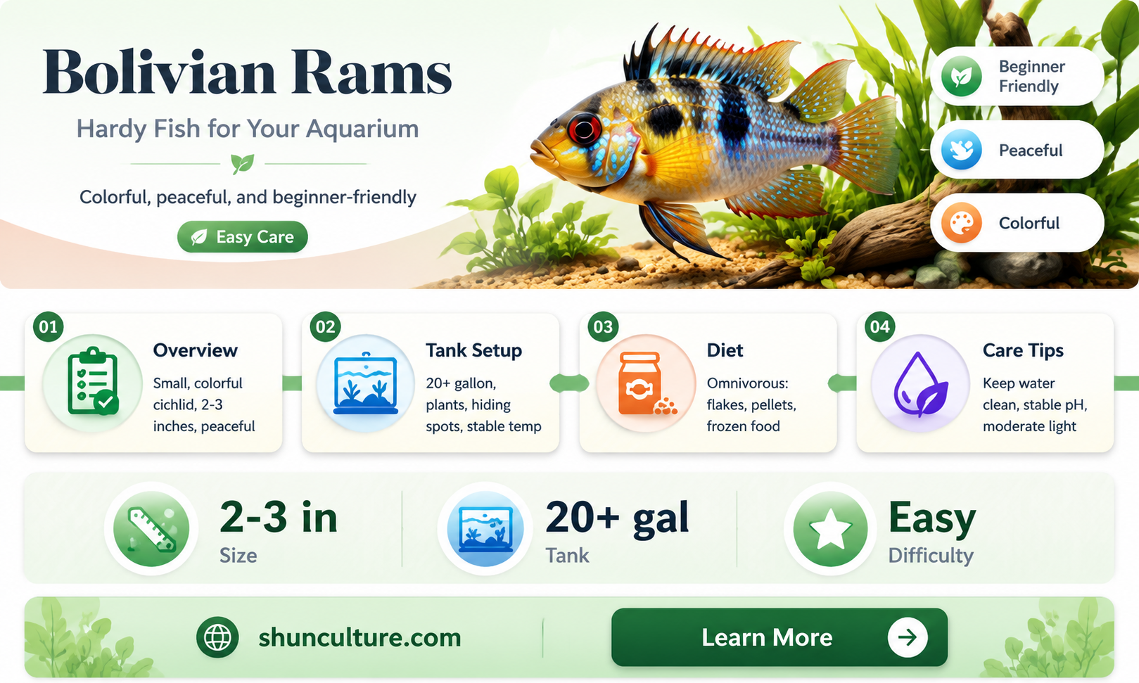 are bolivian rams hardy