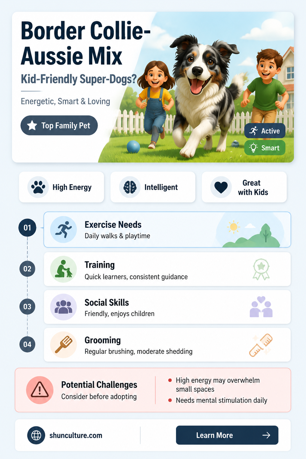are border collie australian cattle dogs good with kids