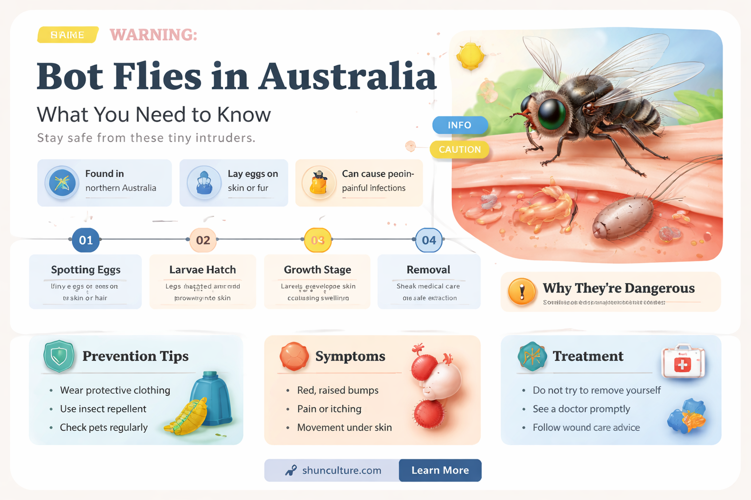 are bot flies found in australia