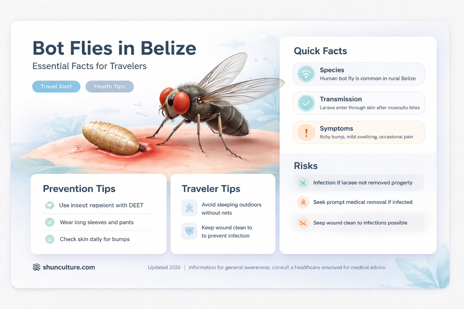 are bot flies in belize