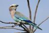 botswana