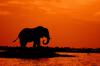 botswana