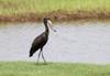 botswana
