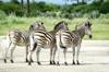 botswana