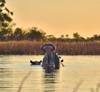botswana