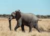 botswana