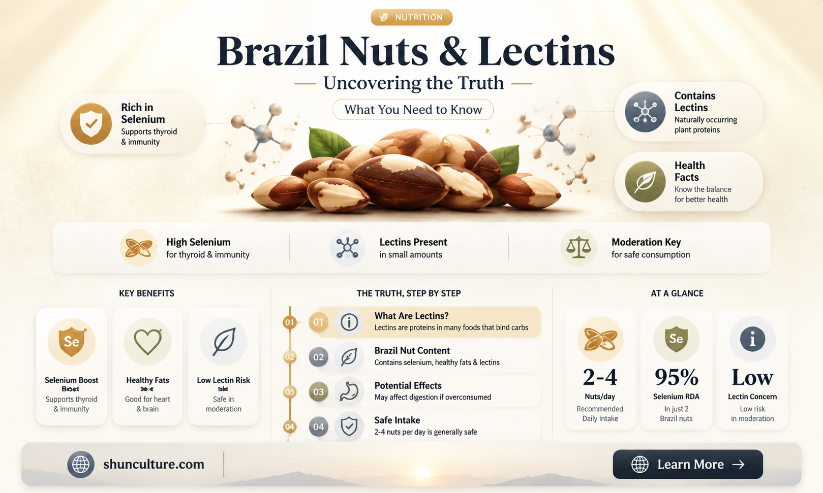 are brazil nuts high in lectins
