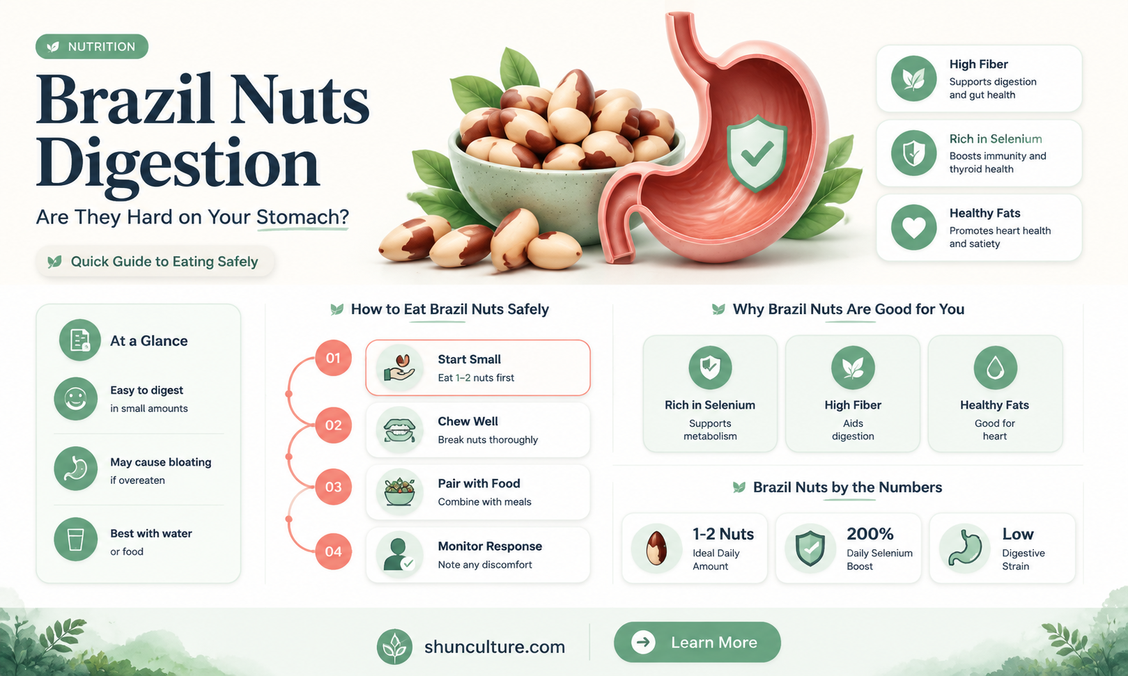 are brazil nuts difficult to digest