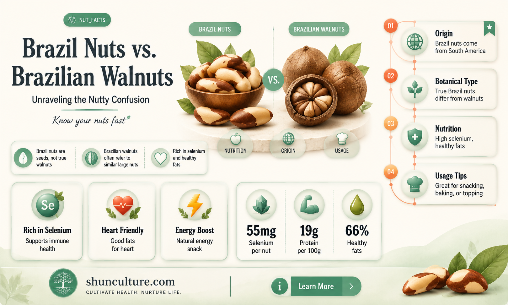 are brazil nuts and brazilian walnuts the same