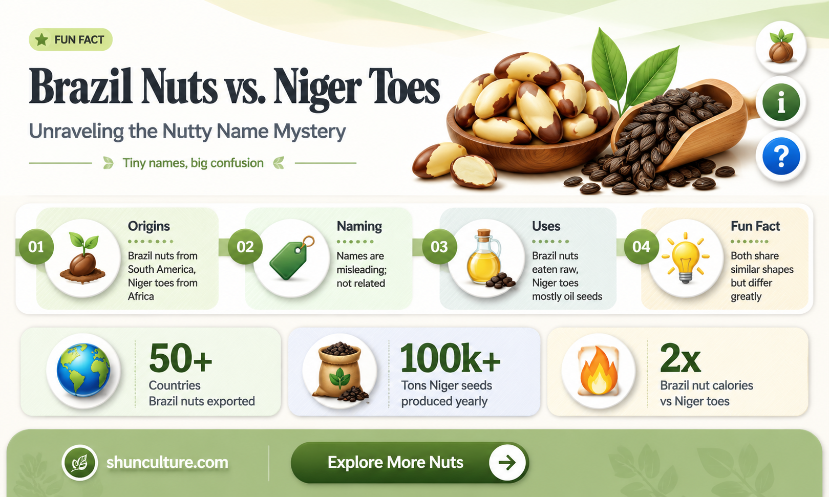 are brazil nuts called niger toes