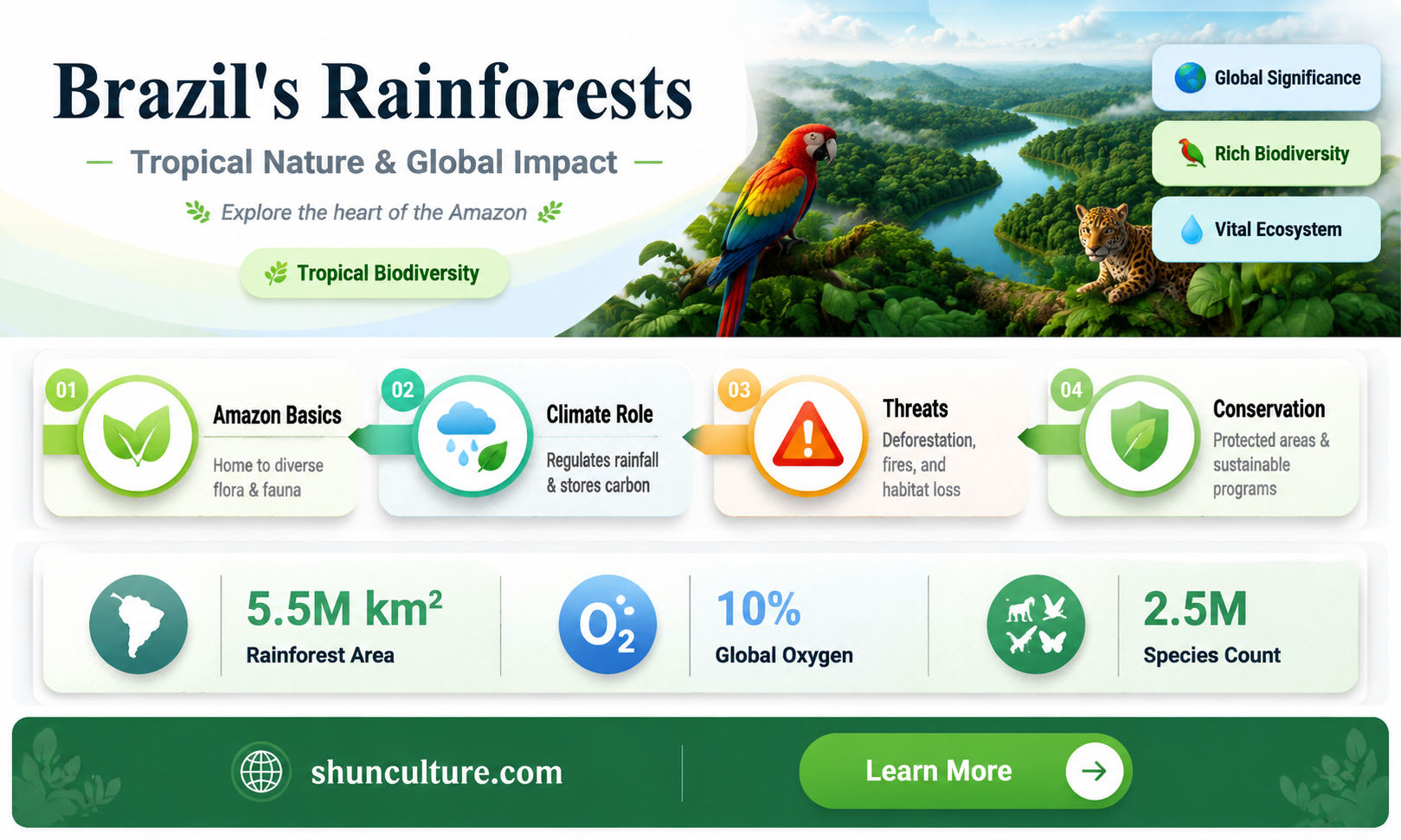 are brazils rainforests temperate or tropical