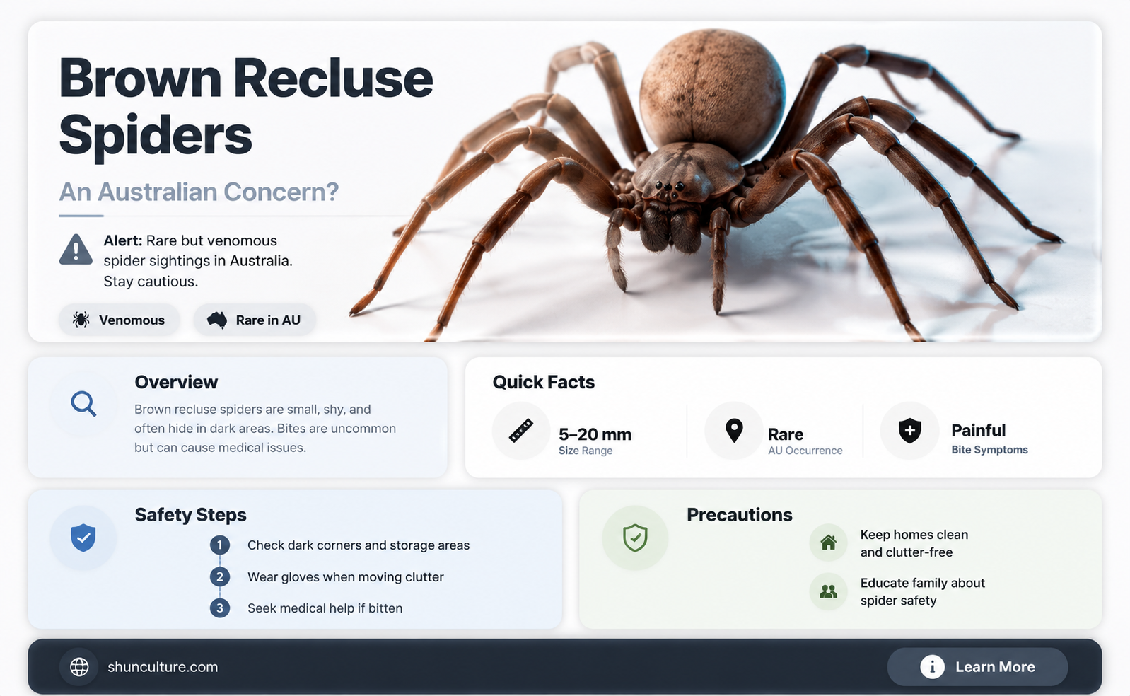 are brown recluse spiders found in australia
