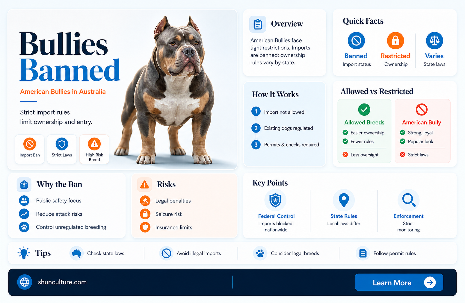 are american bullies banned in australia