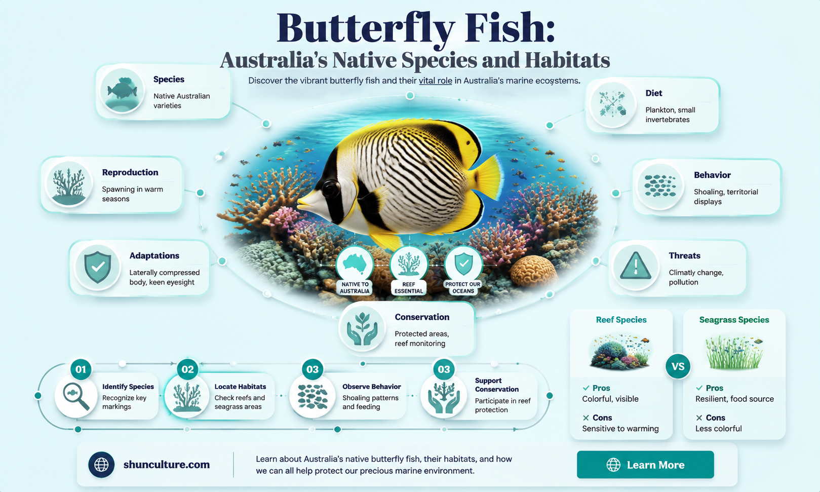 are butterfly fish found in australia
