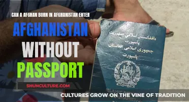 Passport Exemptions: The Afghan Homecoming Conundrum