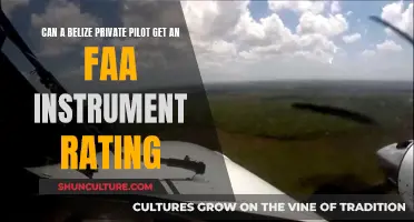 Belize Pilots: Getting an FAA Instrument Rating