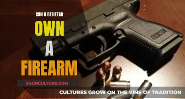 Belizean Gun Ownership: What's the Law?