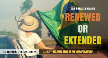 Renewing or Extending a Brazil E-Visa: What You Need to Know