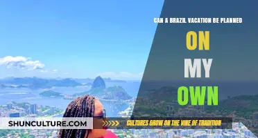 Planning Your Own Brazil Vacation: Tips for a DIY Adventure
